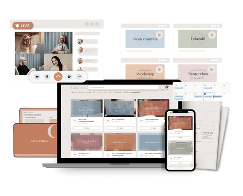 Mentorskap - Med experthjälp